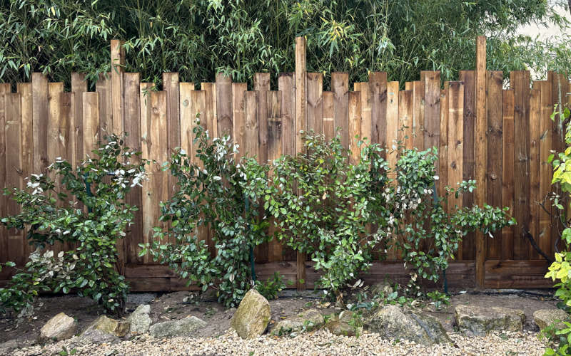 palissade-amenagement-bois-creavert-uzes