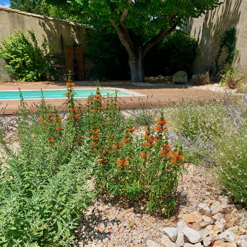qui-sommes-nous-entretien-d-espaces-exterieurs-uzes-services